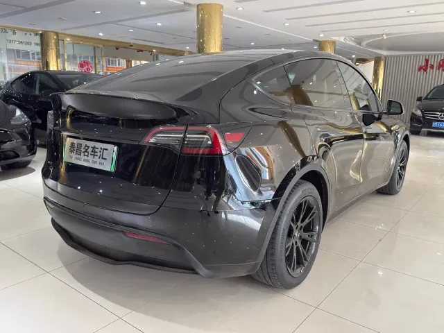 Tesla Model Y — Фото автомобиля 6