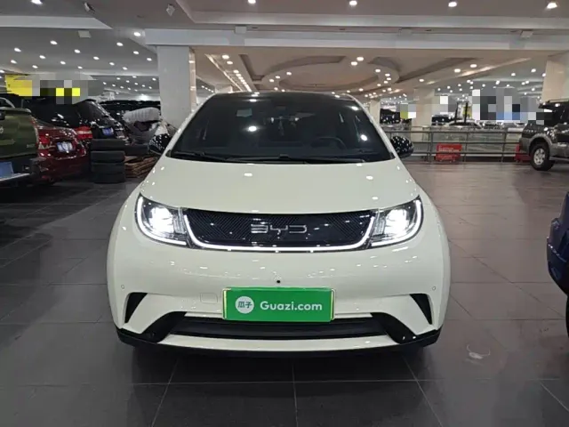 BYD Dolphin — Фото автомобиля 2