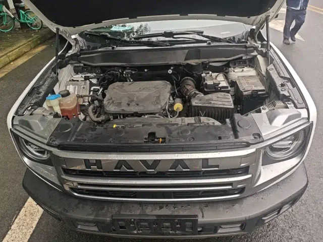 Haval Big Dog — Фото автомобиля 19