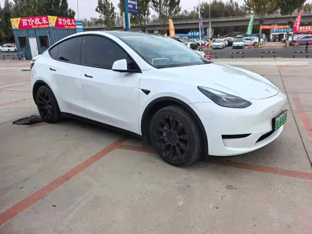 Tesla Model Y — Фото автомобиля 3