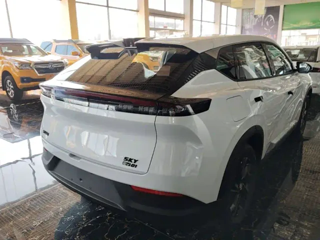 Dongfeng SKY EV01 — Фото автомобиля 6