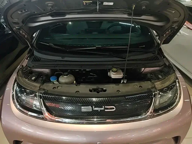 BYD Dolphin — Фото автомобиля 19