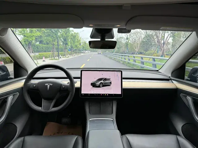 Tesla Model Y — Фото автомобиля 13