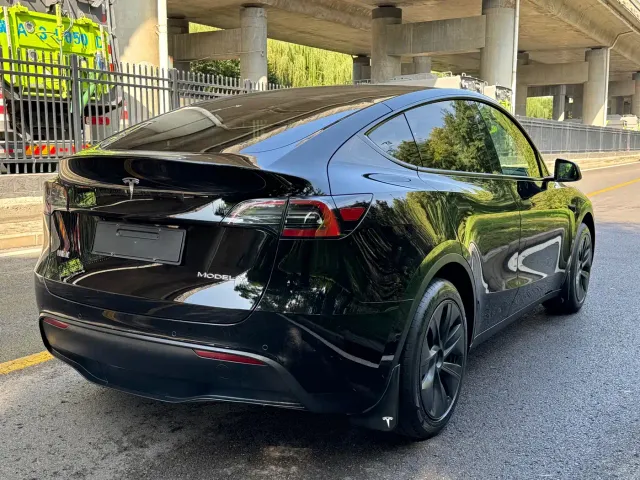 Tesla Model Y — Фото автомобиля 14