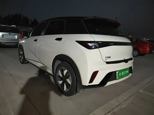 BYD Dolphin — Фото автомобиля 4