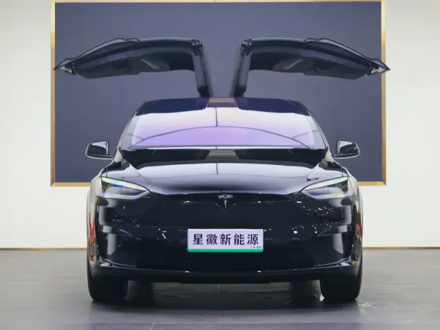 Tesla Model X — Фото автомобиля 2