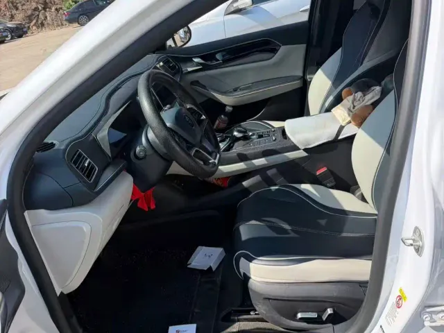 BYD Qin PLUS — Фото автомобиля 3