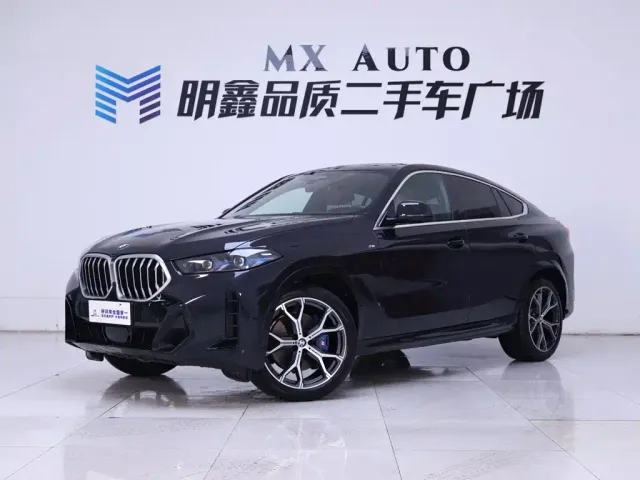 BMW X6 — Фото автомобиля 2
