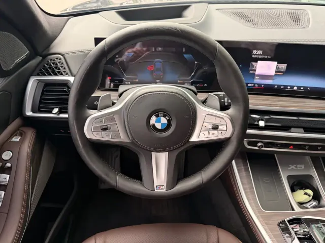 BMW BMW X5 2023 xDrive 40Li M Sport Black Night Package — Фото автомобиля 14