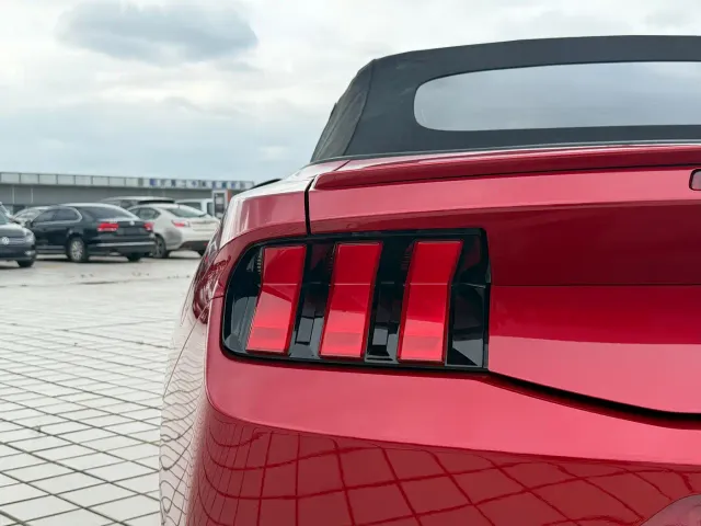 Ford Mustang — Фото автомобиля 18