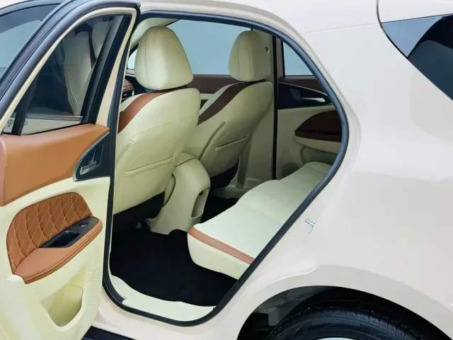 Ora Ora Good Cat 2023 401km Standard Range Luxury LFP — Фото автомобиля 14