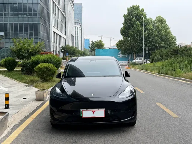 Tesla Model Y — Фото автомобиля 2
