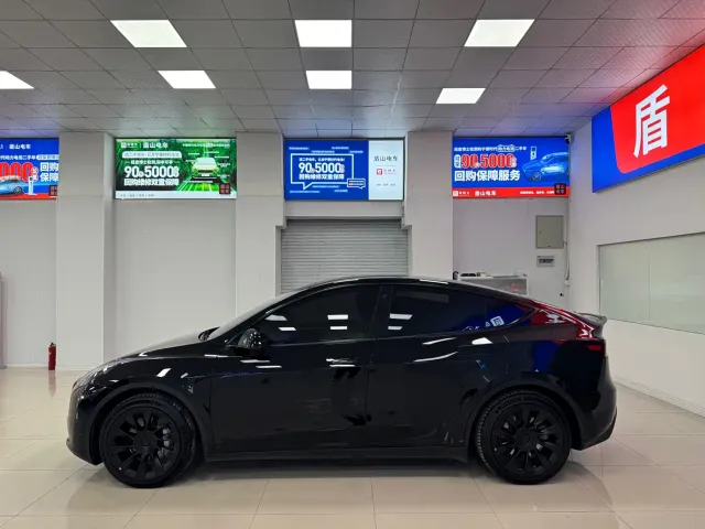 Tesla Model Y — Фото автомобиля 3