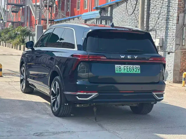 Wey Lanshan — Фото автомобиля 15