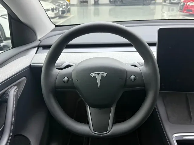 Tesla Model Y — Фото автомобиля 10
