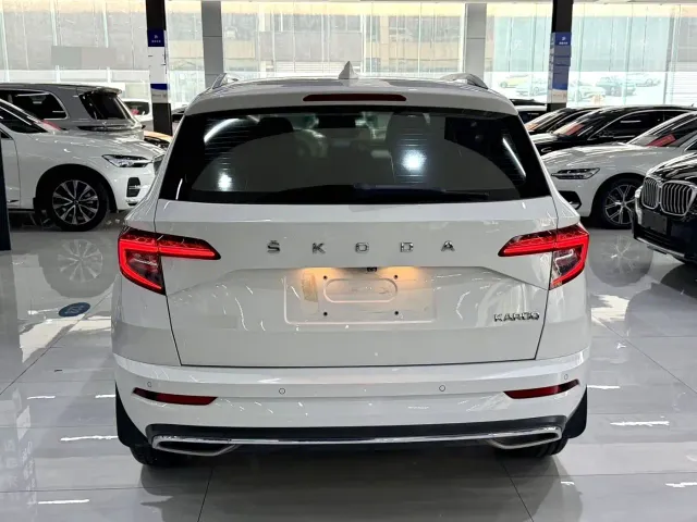 Skoda Karoq — Фото автомобиля 12