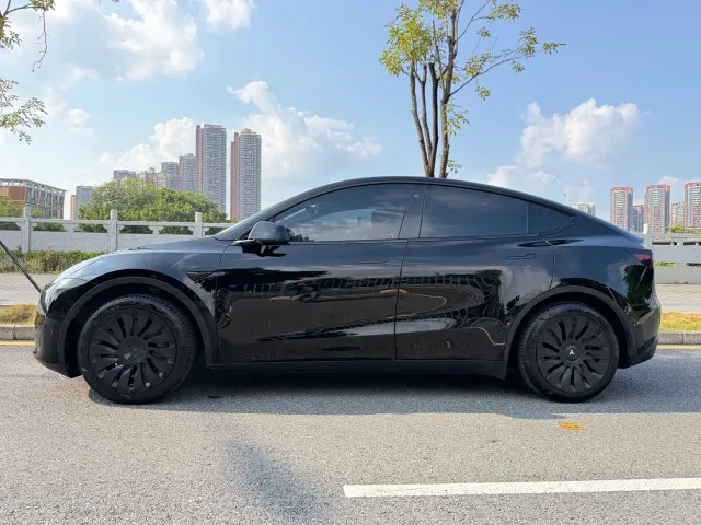 Tesla Model Y — Фото автомобиля 4