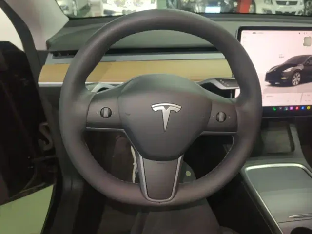 Tesla Model Y — Фото автомобиля 10