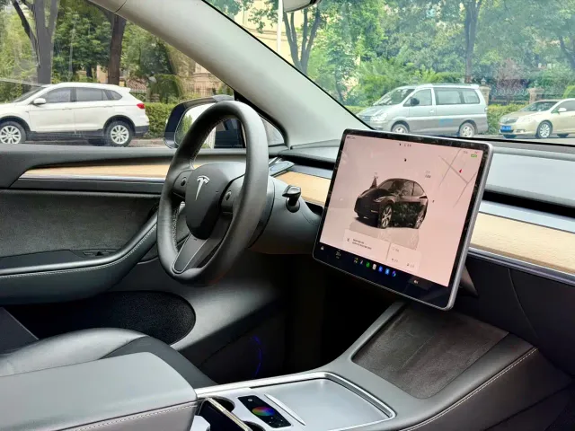 Tesla Model Y — Фото автомобиля 9