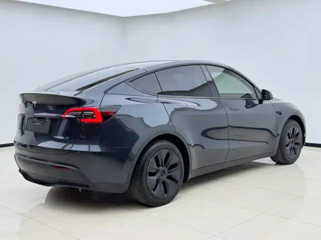 Tesla Model Y — Фото автомобиля 9