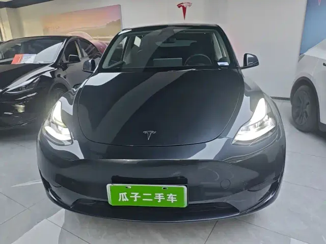 Tesla Model Y — Фото автомобиля 2