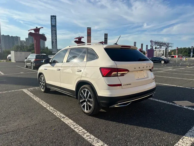 Skoda Kamiq — Фото автомобиля 8