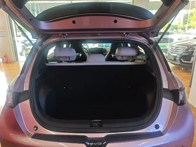 BYD Dolphin — Фото автомобиля 18