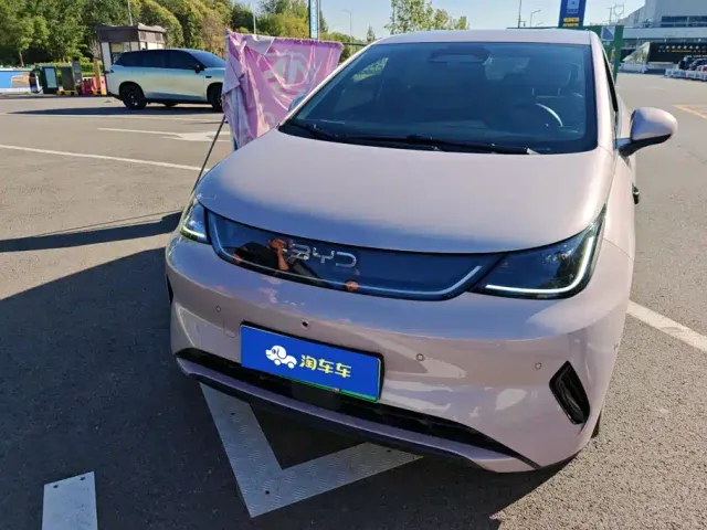BYD Dolphin — Фото автомобиля 2