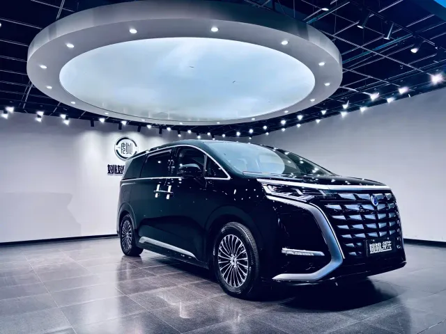 Denza D9 — Фото автомобиля 14