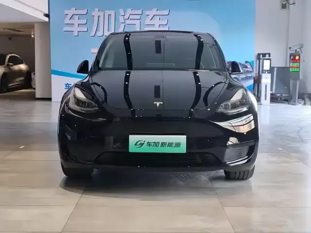 Tesla Model Y — Фото автомобиля 2