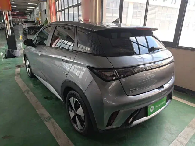 BYD Dolphin — Фото автомобиля 4