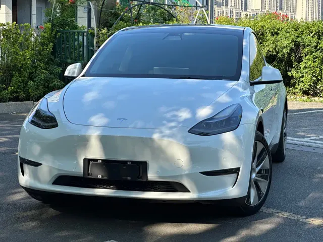 Tesla Model Y — Фото автомобиля 2