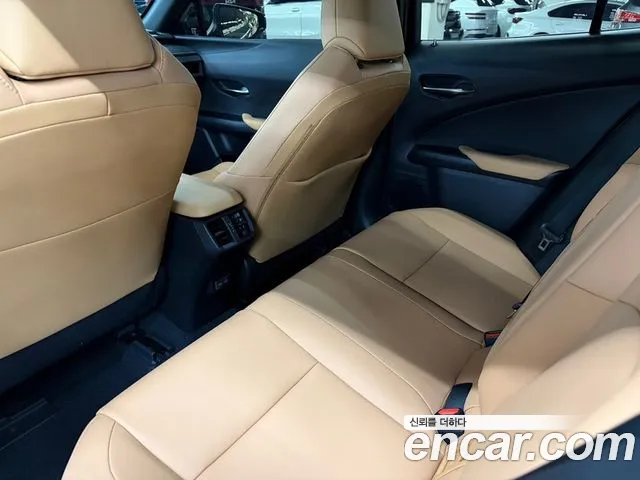 Lexus UX UX300h — Фото автомобиля 13