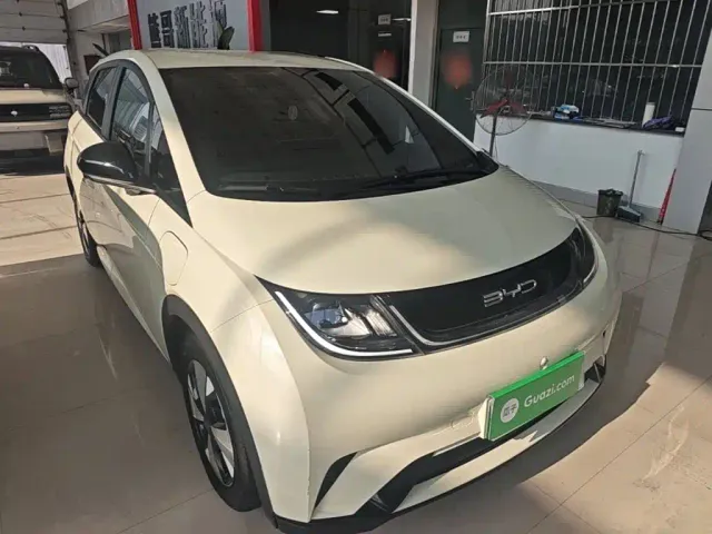 BYD Dolphin — Фото автомобиля 3