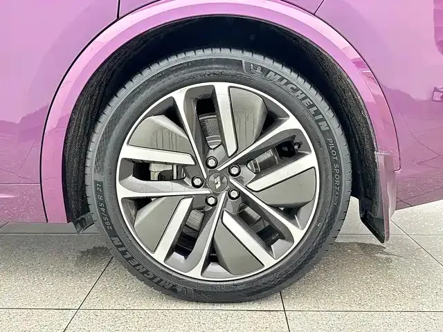 Li Auto L9 — Фото автомобиля 16