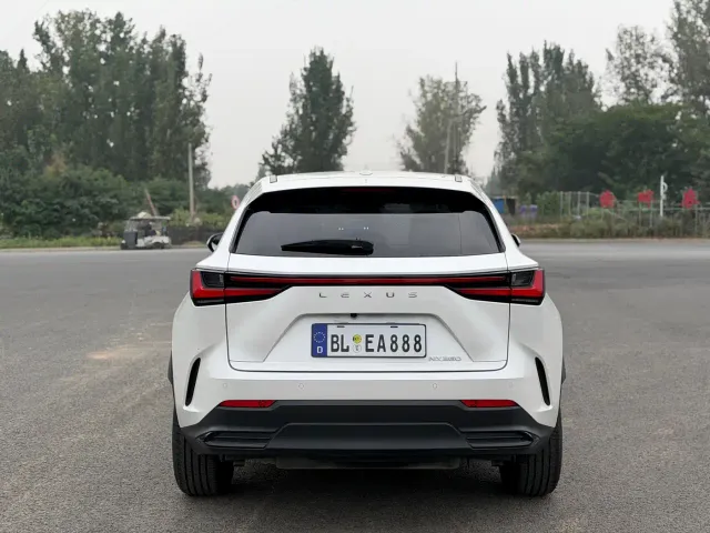 Lexus Lexus NX 2022 260 FWD Innovation Edition — Фото автомобиля 10