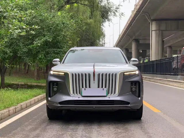 Hongqi E-HS9 — Фото автомобиля 2