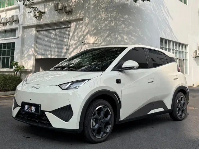 Фотография автомобиля — BYD Seagull