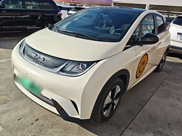 Фотография автомобиля — BYD Dolphin
