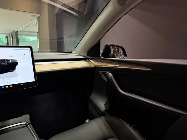 Tesla Model Y — Фото автомобиля 11