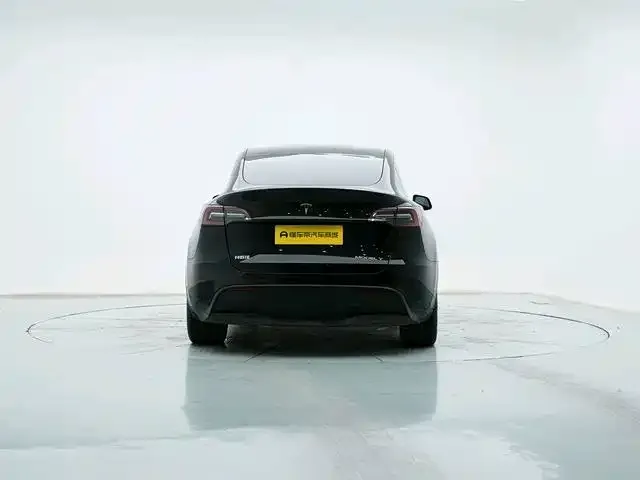 Tesla Model Y — Фото автомобиля 4
