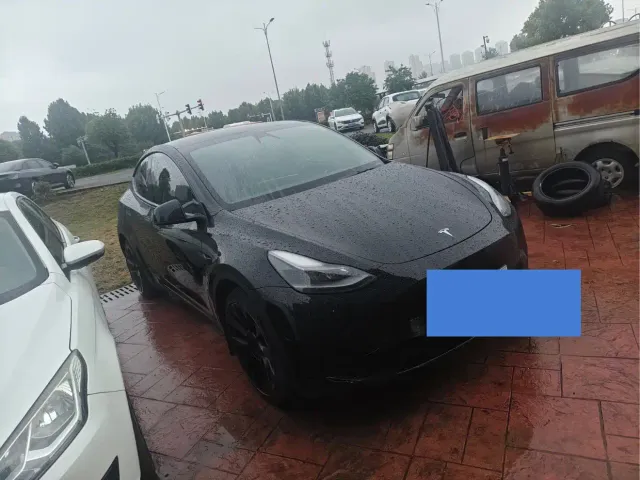 Tesla Model Y — Фото автомобиля 3
