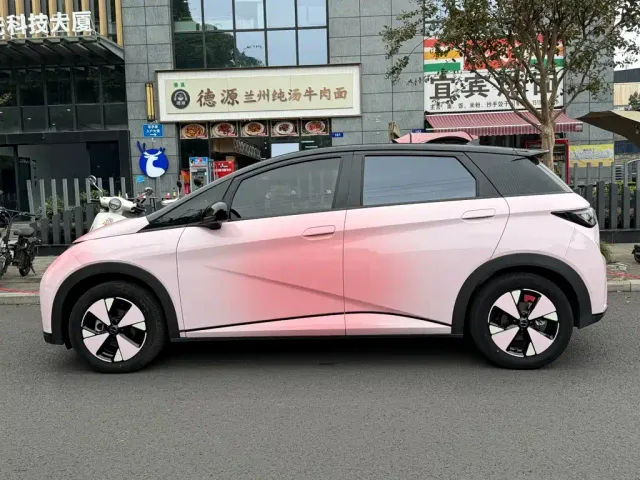 BYD Dolphin — Фото автомобиля 3