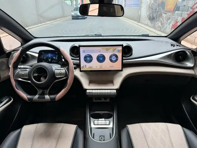 BYD Dolphin — Фото автомобиля 12