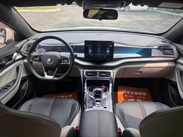 BYD Qin PLUS — Фото автомобиля 11
