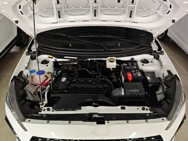 Chery Tiggo 3x — Фото автомобиля 19