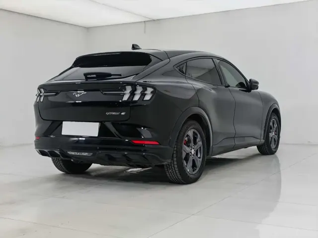Ford Mustang Mach-E — Фото автомобиля 6