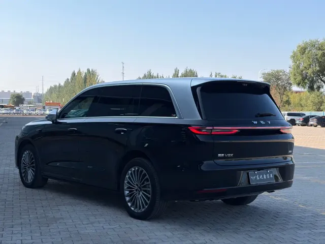 Wey V9X — Фото автомобиля 5