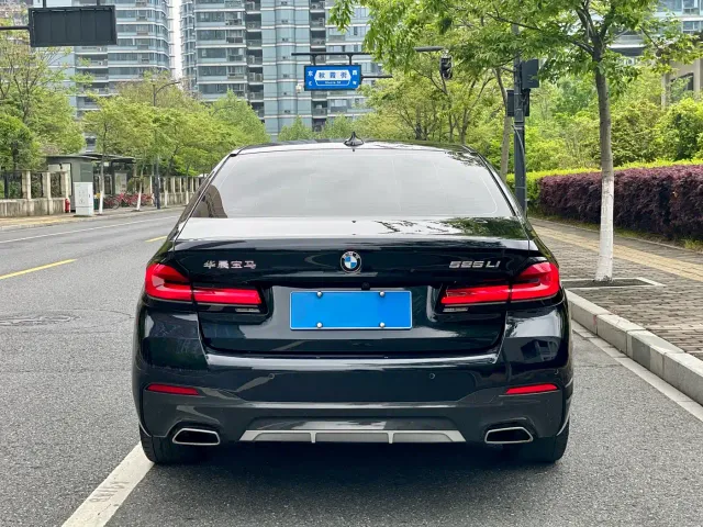 BMW 5 Series — Фото автомобиля 6