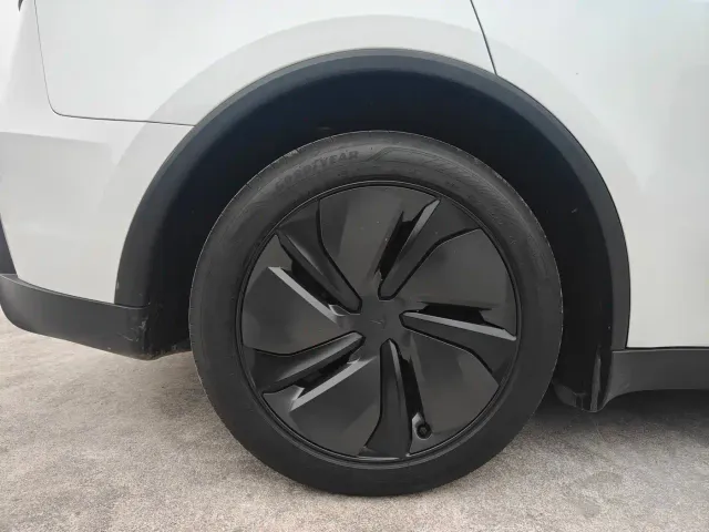 Tesla Model Y — Фото автомобиля 19